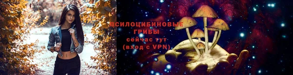 спайс Аркадак