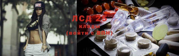 сатива Арсеньев