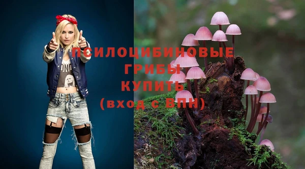 сатива Арсеньев