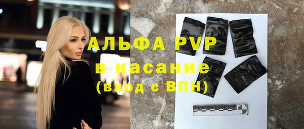сатива Арсеньев