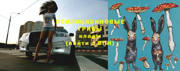 сатива Арсеньев