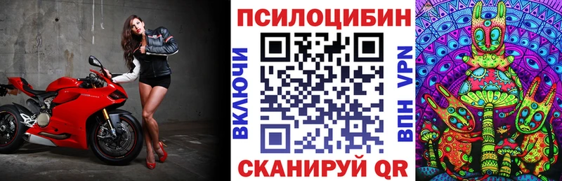 Галлюциногенные грибы MAGIC MUSHROOMS  Спас-Клепики 